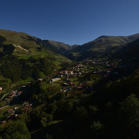 Hamsikoey Seyirtepe Butik Otel Hamsikoy Esterno foto